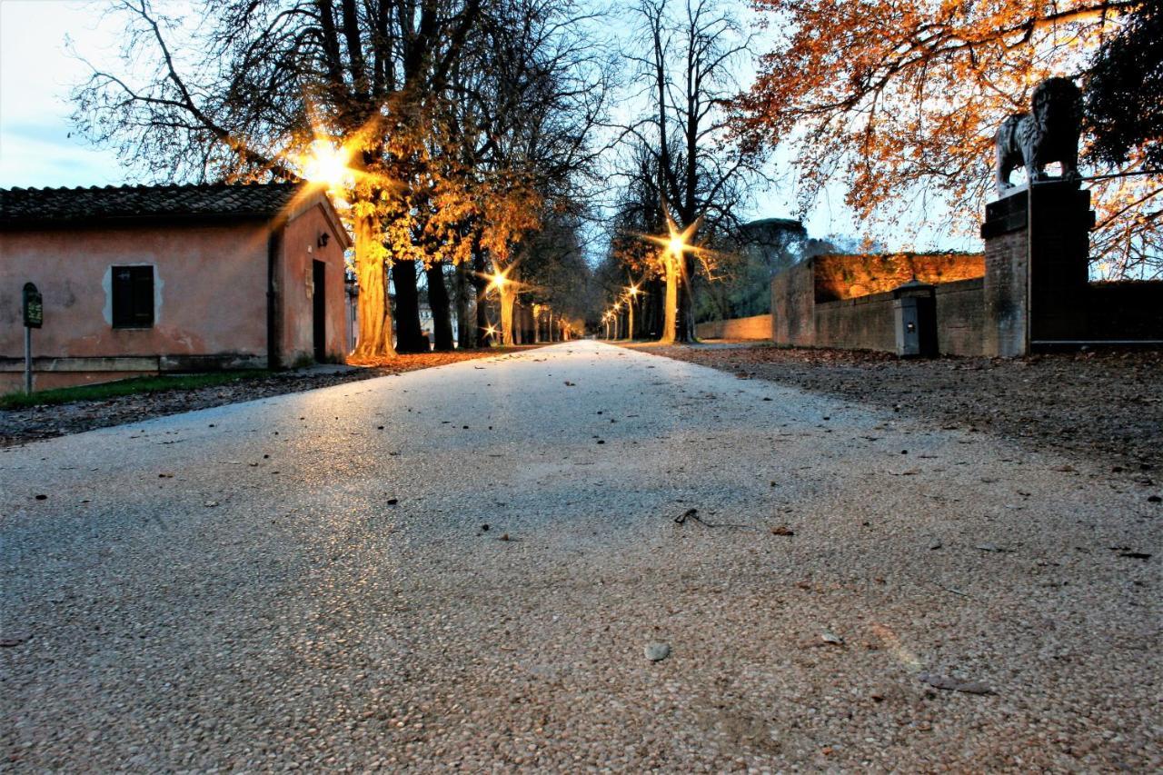 Finca Del Sol Daire Lucca Dış mekan fotoğraf