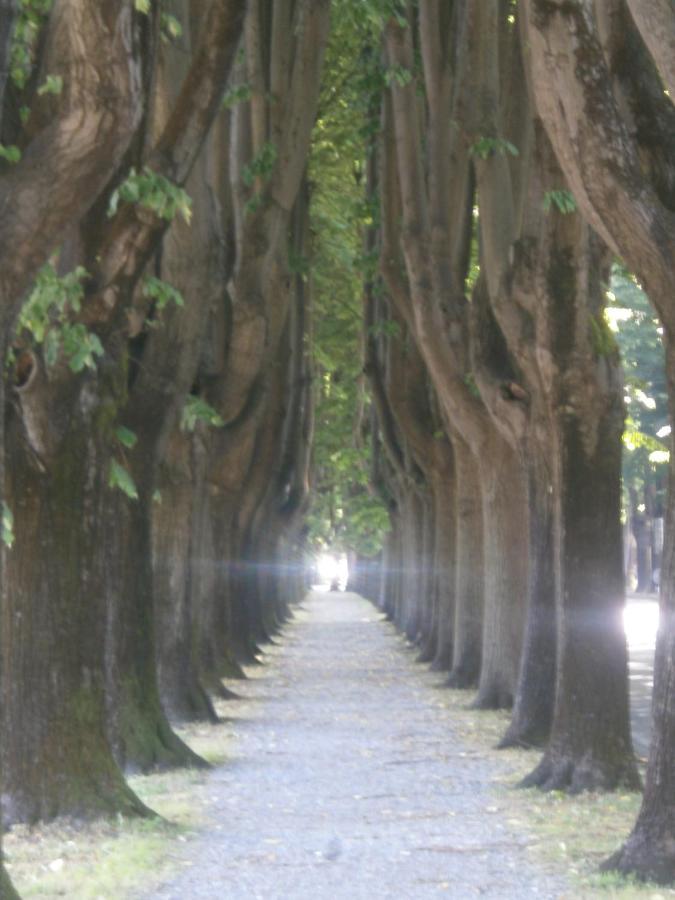 Finca Del Sol Daire Lucca Dış mekan fotoğraf