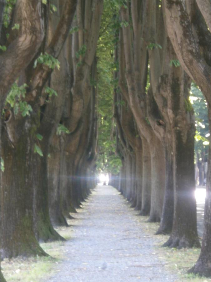 Finca Del Sol Lucca Dış mekan fotoğraf
