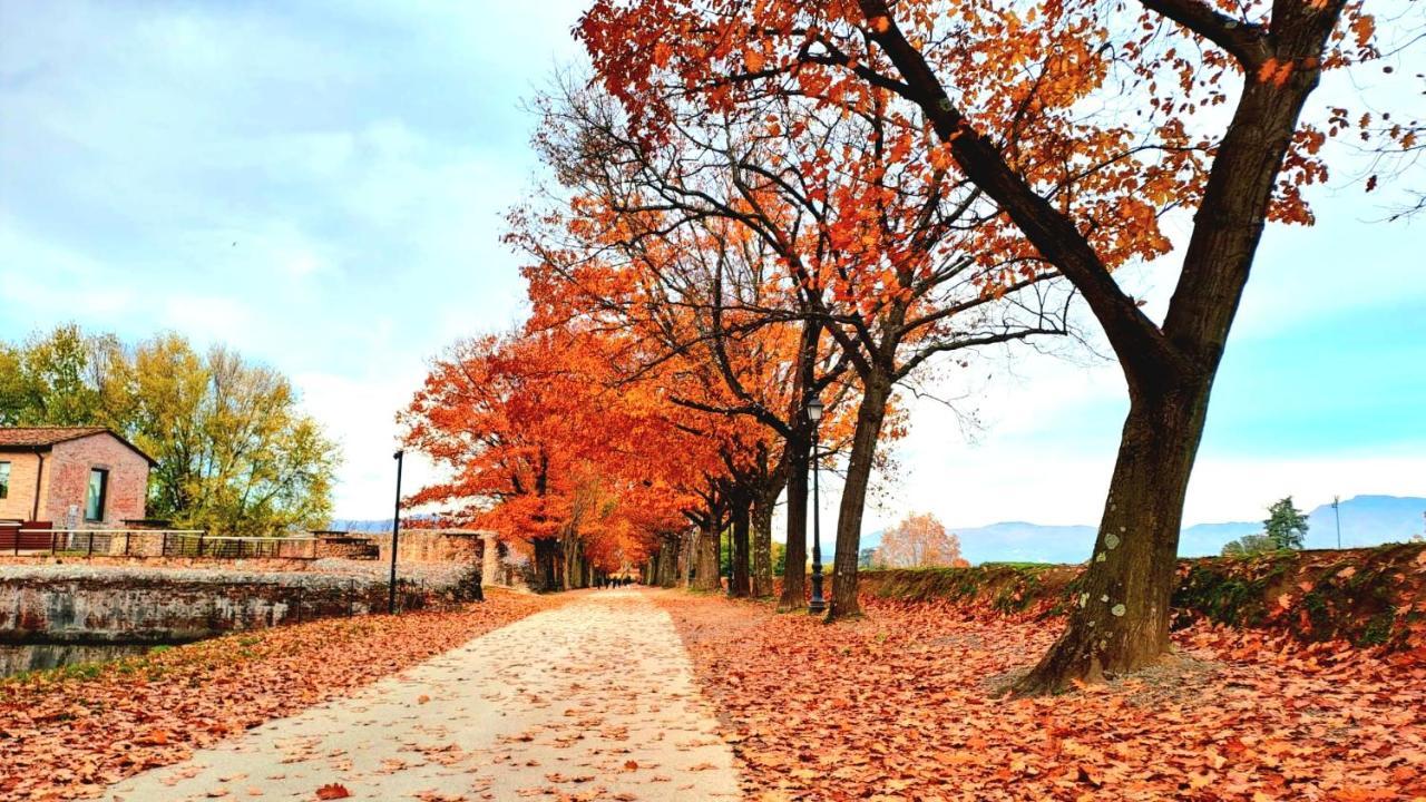 Finca Del Sol Daire Lucca Dış mekan fotoğraf