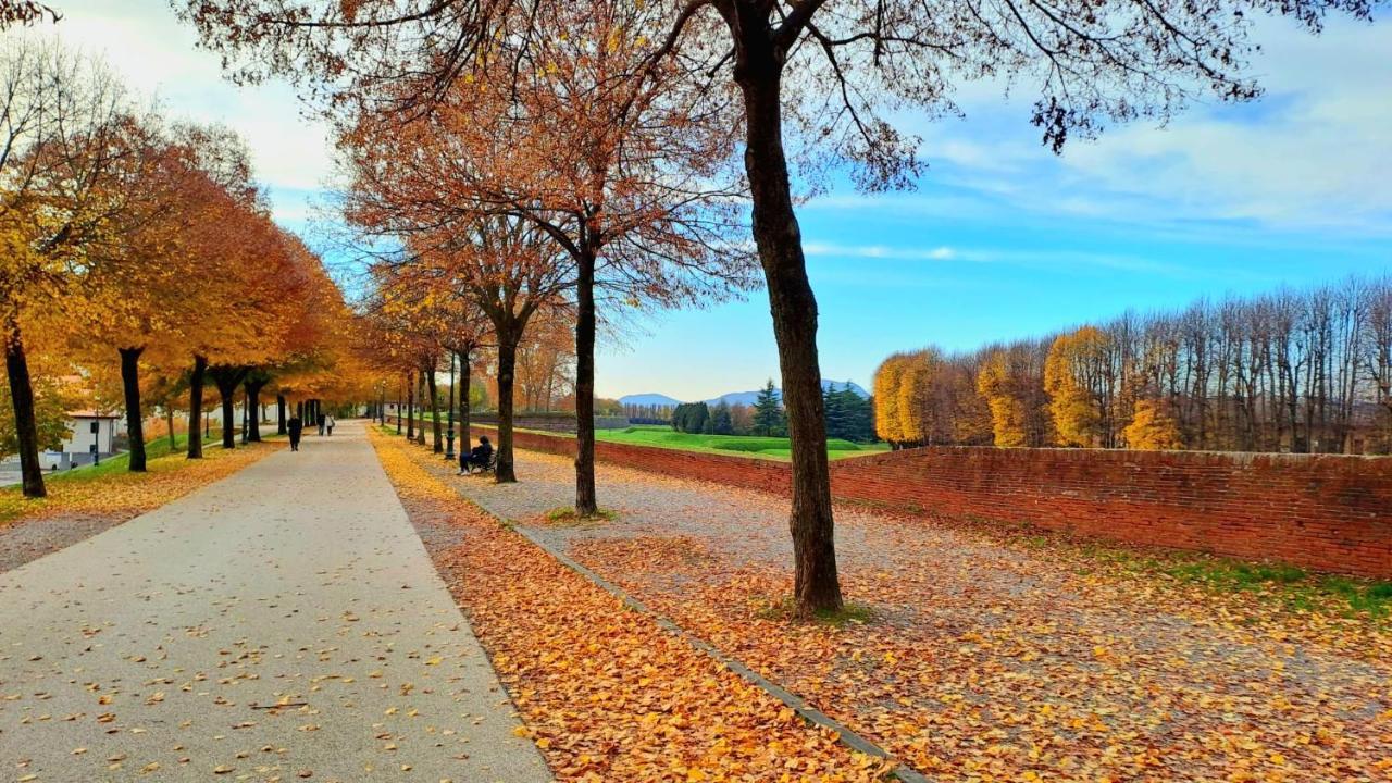 Finca Del Sol Daire Lucca Dış mekan fotoğraf