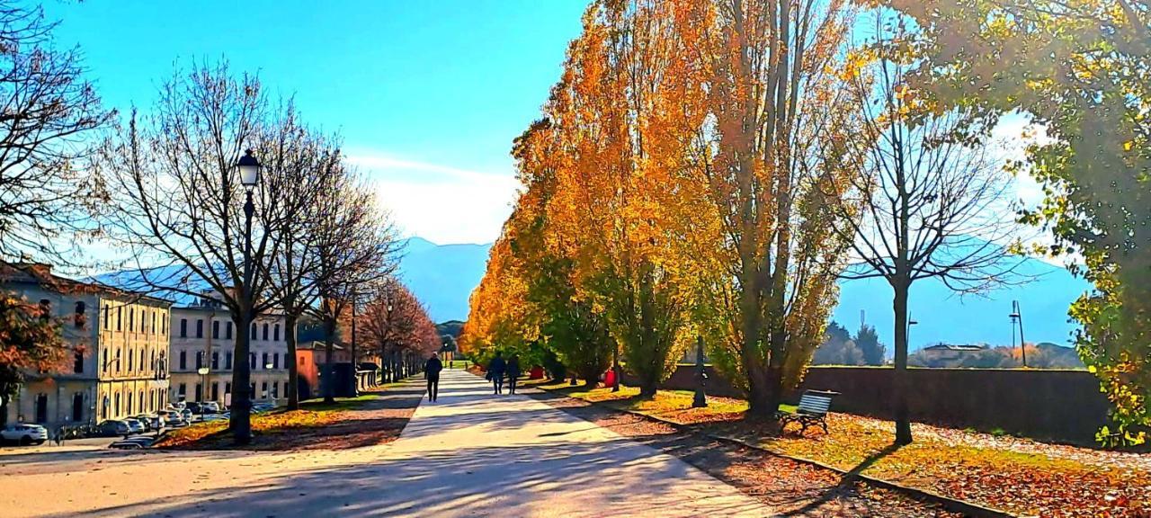 Finca Del Sol Daire Lucca Dış mekan fotoğraf