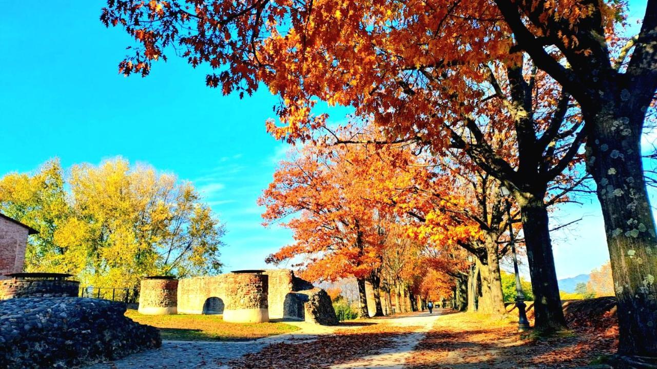Finca Del Sol Lucca Dış mekan fotoğraf