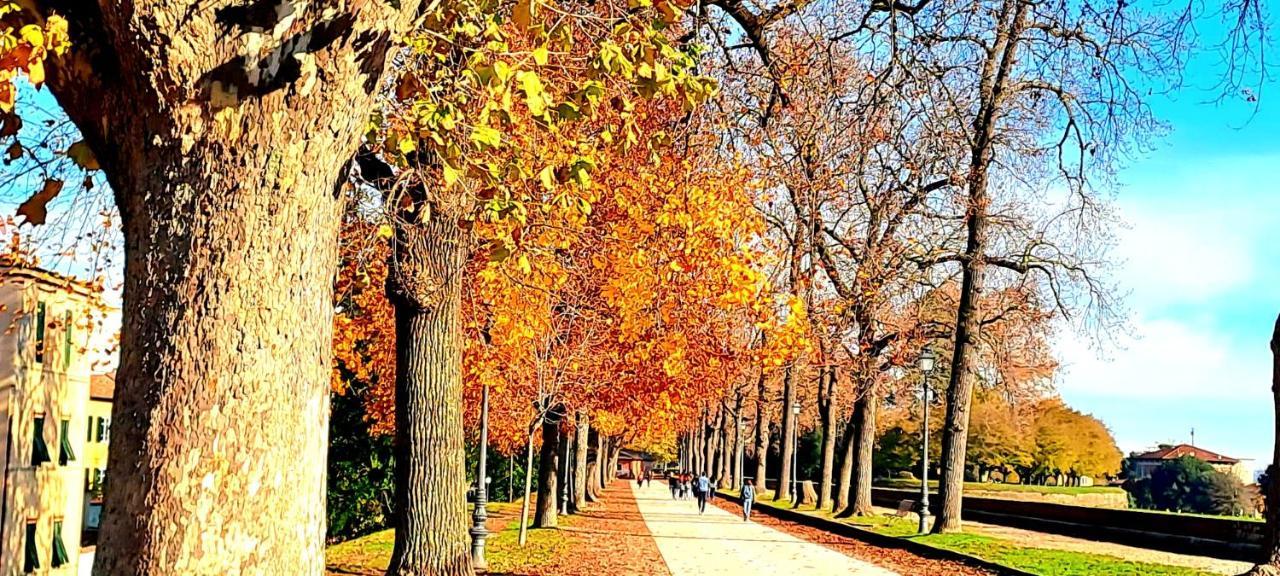 Finca Del Sol Lucca Dış mekan fotoğraf